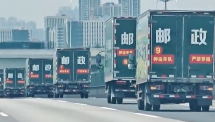 白桃星座,新奥开奖结果怎么查询的到,全面解答解释落实_升级版V11.38