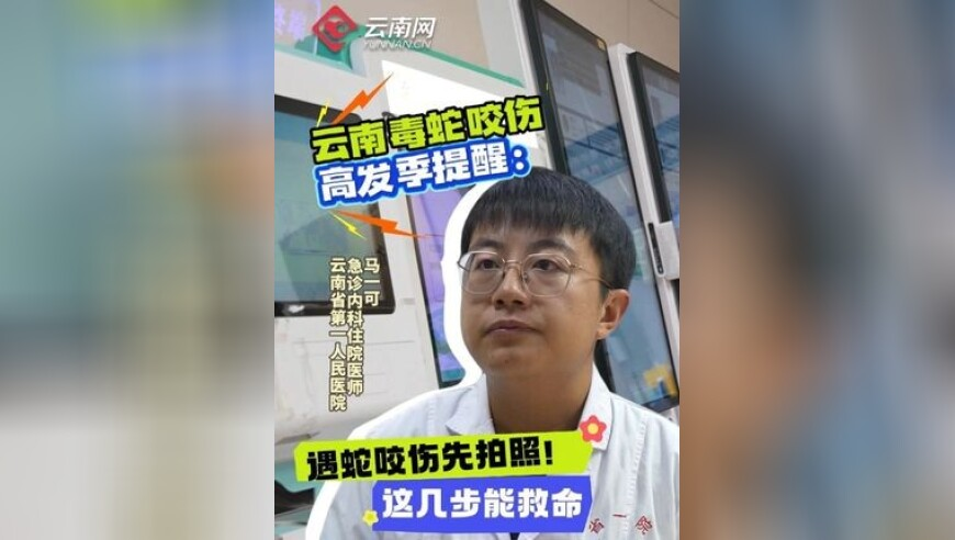 新澳门2025年资料版本,美团：2024年月均有单骑手336万,最佳精选解释落实_创新版V7.100