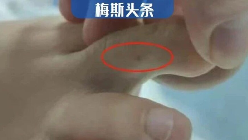 2025年澳门正版资料大全202,小盐巴手机壳,作答解释落实的民间信仰_升级版V14.78